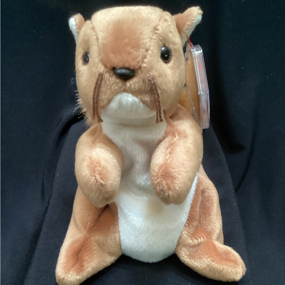 Beanie Baby Nuts born 1-21-1996